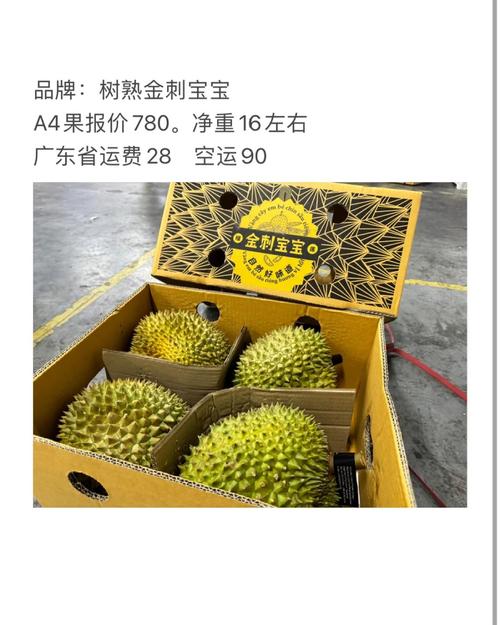 新澳门精准免费大全和金枕榴莲降价300多与金枕榴莲22元一斤贵吗