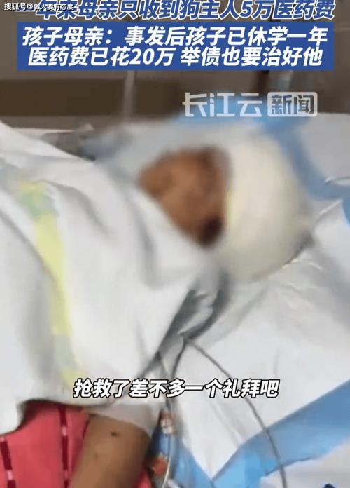 2025澳门天天开好彩大全开奖记录和7岁男孩遭3只犬撕咬与7岁男孩遭3只犬撕咬怎么办