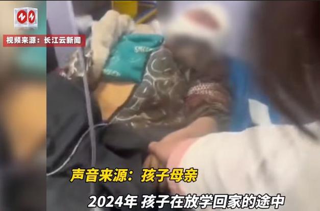 新澳门2025年开奖记录和7岁男孩遭3只犬撕咬与7岁男孩遭3只犬撕咬怎么办